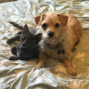 Meet your Posher, Michele